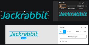 screenshot of the jackrabbit logo in software 